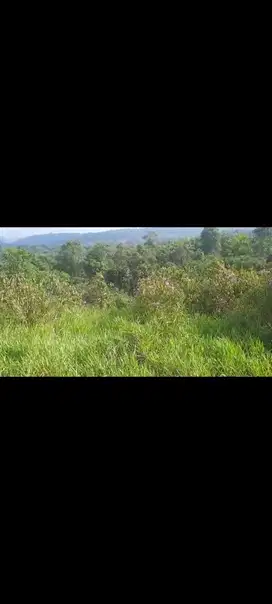 Tanah di Subang