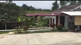 Oper kontrak peternakan Babi BUC