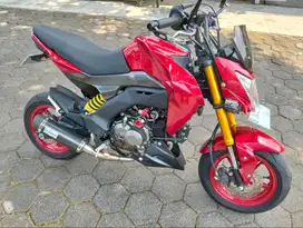 Kawasaki Z Series mulus