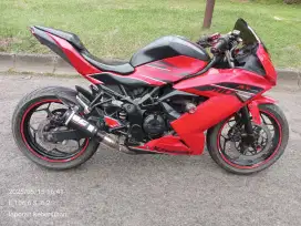Ninja sl mono250RR