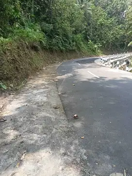 JUAL TANAH DI SIDOHARJO SAMIGALUH KULONPROGO
