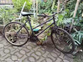 Sepeda winner lady 26 kalcer