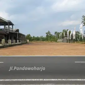 Tepi Jalan Utama Pandowoharjo Sleman Mlati, Jual Tanah Palagan