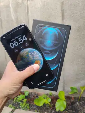 Iphone 12 Pro Max 256