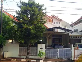 RUMAH BESAR ANGGREK LOKA GRAHA RAYA BINTARO TANGERANG SELATAN