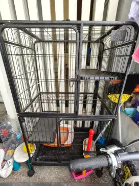 Kandang kucing anti karat