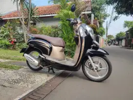 SCOOPY TAHUN 2014 PAJAK HIDUP