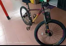Sepeda sport polygon