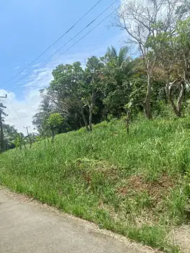 Di jual tanah kebon