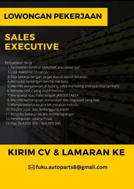 LOKER SALES EXECUTIVE