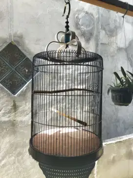 Sangkar kapsul diameter 40 cm