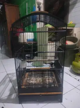 Sangkar Cucak Ijo UK 40