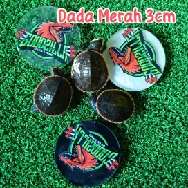 Kura Dada Merah 3cm an