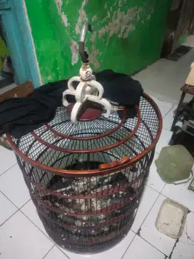 KK bunder ebod UK 58