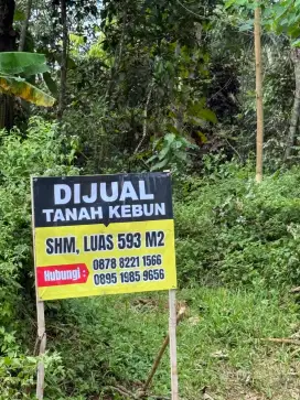 Dijual tanah kebun