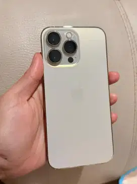Iphone 13 pro wifi only ex inter