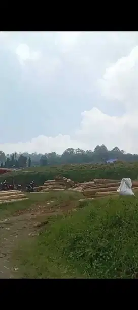 Jual cepat Tanah kavling deket dusun bambu lembang bandung