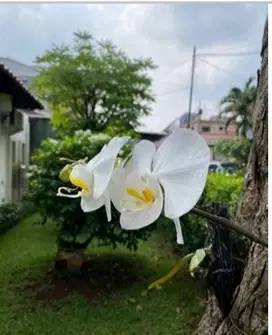 Dijual rumah di Cipete Jaksel