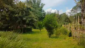 DIJUAL!!! tanah luasnya 1200m2