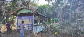 Dijual Lahan Seluas 45H di Kalimantan Tengah - Cocok untuk Perkebunan!
