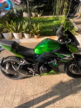 Kawasaki Z Series 250cc