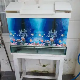 Tempat aquarium