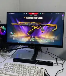 Monitor 240hz Gaming