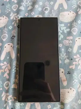 Samsung S24 Ultra 12/512