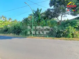 Tanah dijual di Kelir kalipuro Banyuwangi cocok untuk bangun Gudang