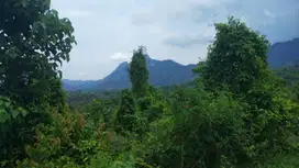 Jual cepat tanah kavling jonggol bogor jawa barat indonesia