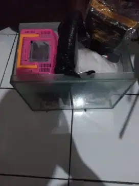 Di jual aquarium set ikan koi 2 ekor slayer