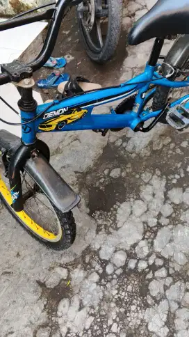 Sepeda wim cycle 18