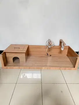 Tortotable Tortoise / kura darat