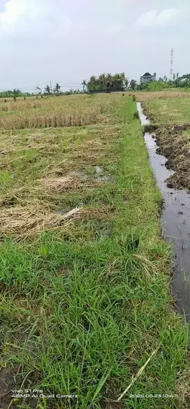 LAND FOR SALE | SERIOUS ONLY DIRECT OWNER | NEGO