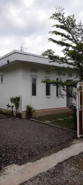 dijual rumah view sawah lokasi buduk mengwi
