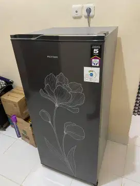 Kulkas Satu Pintu Polytron