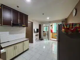 Apartment Palm Mansion (2 BR)