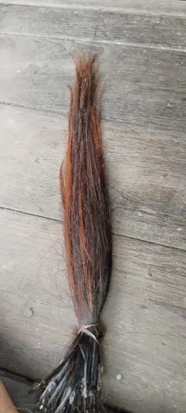 Rambut sambunga