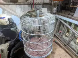 Kandang burung murai