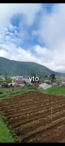 Jual tanah lokasi Tawangmangu akses jln 2mtr lt 1900m hrg 1jt/m nego