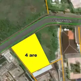 Tanah 200 meter ke pantai Canggu, akses jalan 7 meter