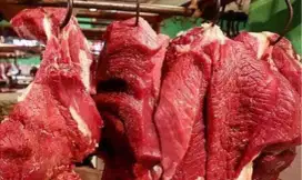 Daging sapi segar