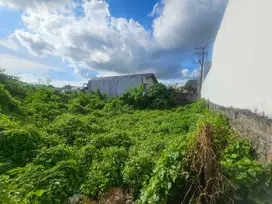 Tanah Kayutulang Canggu Bali