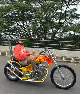 Suzuki gsx thunder 250 twinport chopper bobber british