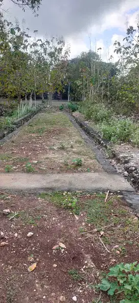 Disewakan Tanah Di Dekat Pantai Jimbaran