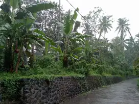Jual tanah 10are tunjuk tabanan