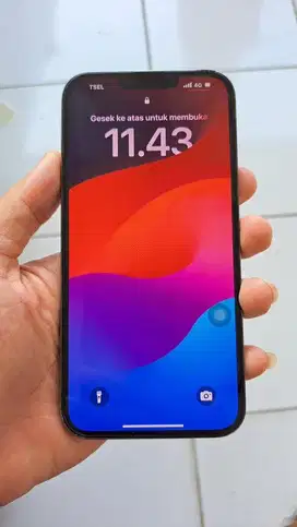 Iphone 13 Pro Max Second