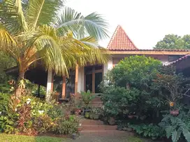 Dijual Rumah di Jakarta Selatan Halaman luas