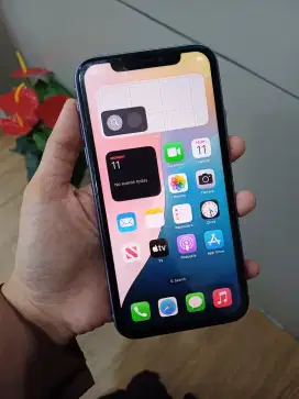 Iphone 11 64 Inter Wifi Only