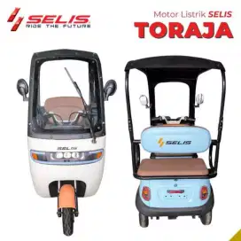 Selis roda 3 dengan power 500w